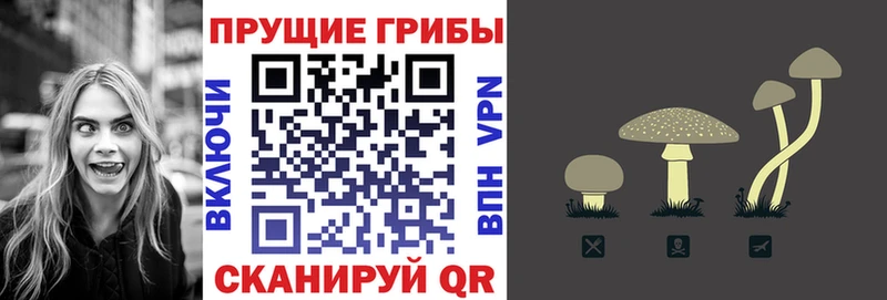 Галлюциногенные грибы GOLDEN TEACHER  Дно 